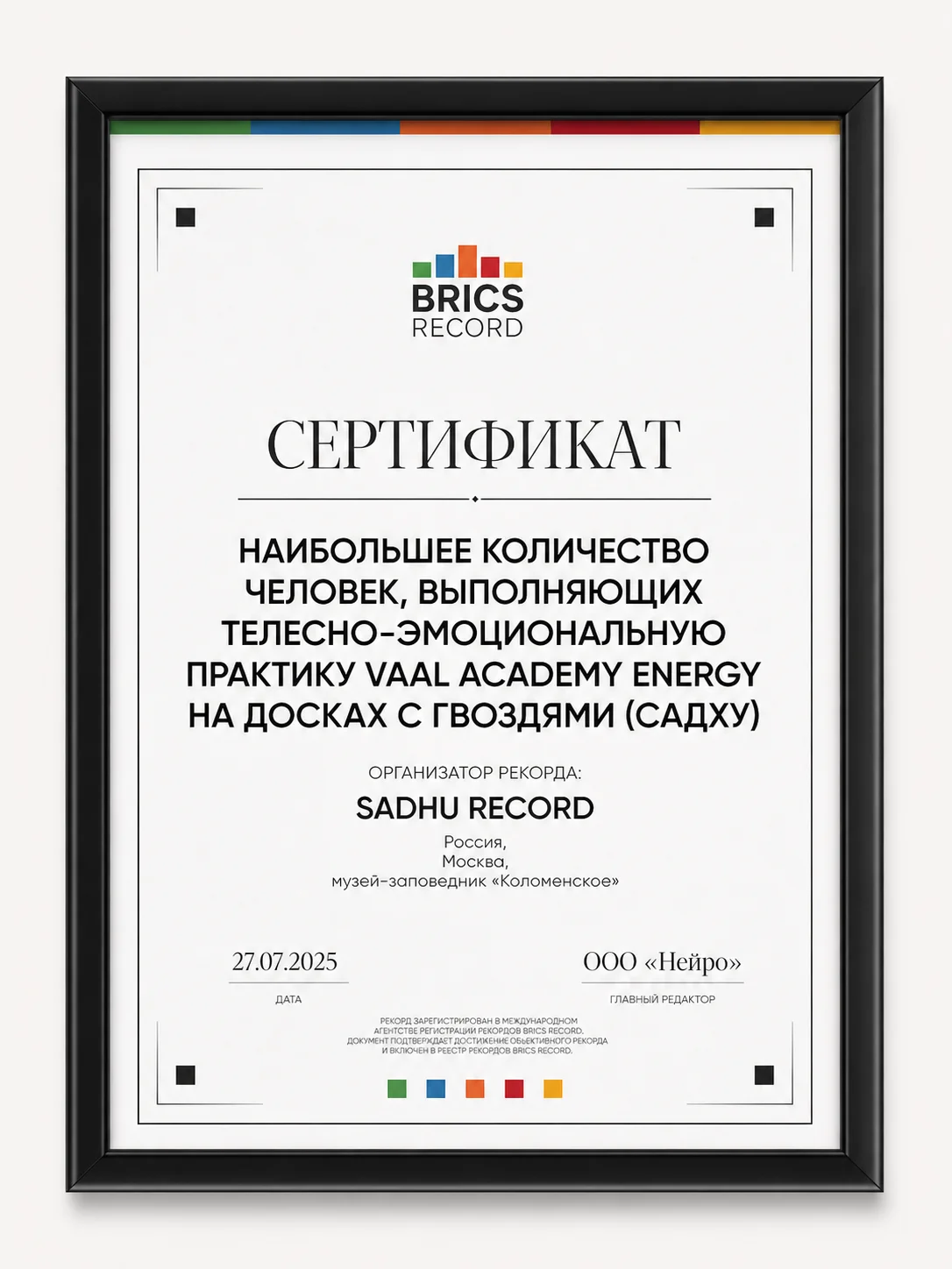 BRICS Record